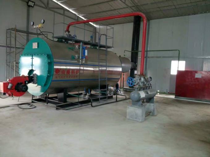 Diversa máquina industrial de la caldera de vapor del gasoil de los modelos para el uso médico